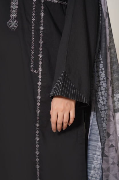 Stitched 2 Piece Cambric Embroidered Suit