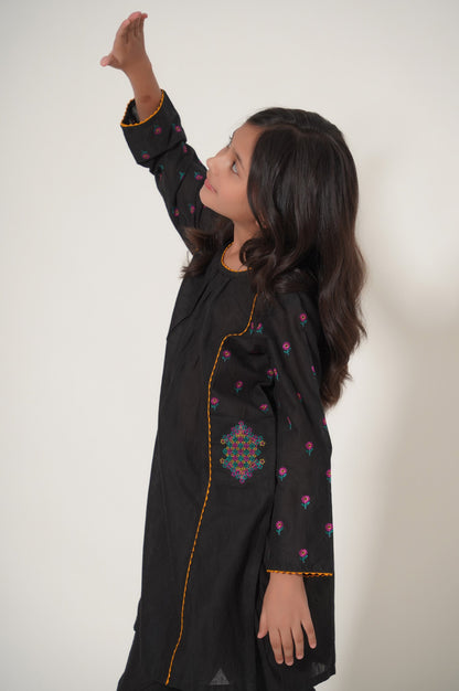 Stitched 2 Piece Embroidered Cotton Neps Suit