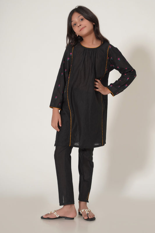 Stitched 2 Piece Embroidered Cotton Neps Suit