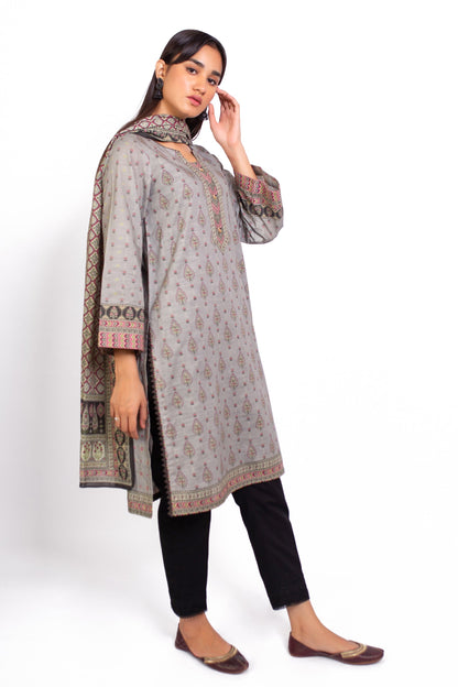 Stitched 2 Piece Printed Khaddar Suit