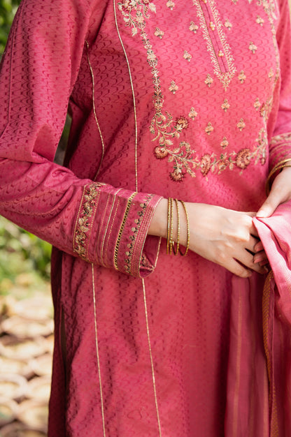 Stitched 2 Piece Embroidered Dobby Suit