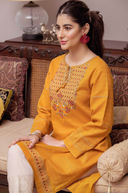 Stitched 1 Piece Embroidered Needle Chikan Top