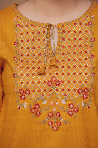 Stitched 1 Piece Embroidered Needle Chikan Top