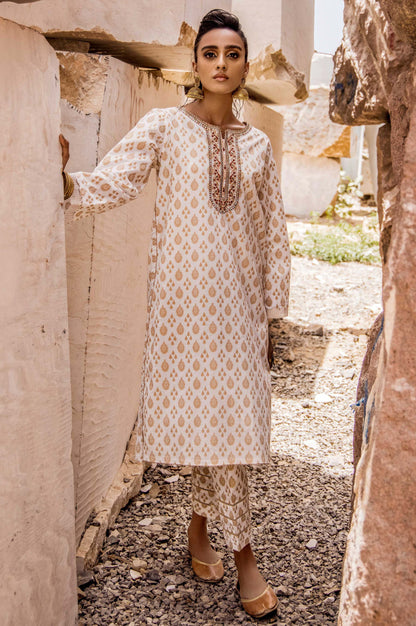 Stitched 1 Piece Printed Gold Paste Cambric Shirt