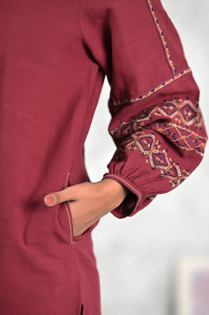 Stitched 1 Piece Embriodered Fushion Shirt