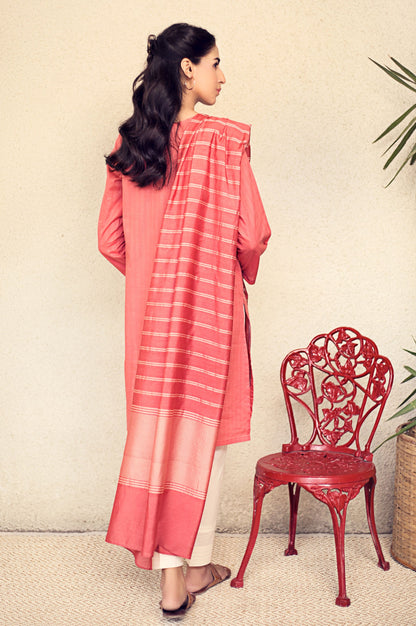 Stitched 2 Piece Embroidered Suit