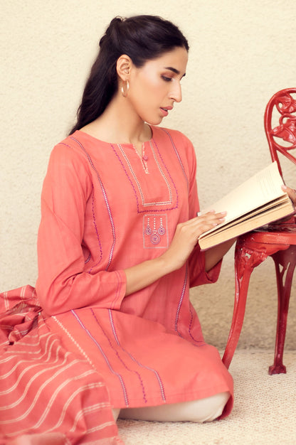 Stitched 2 Piece Embroidered Suit