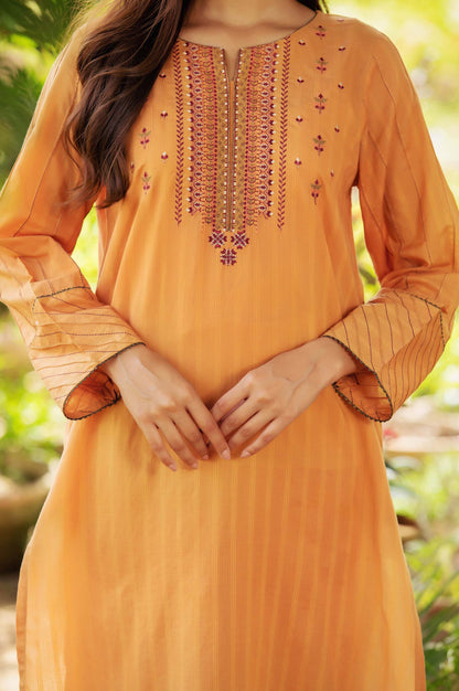 Stitched 2 Piece Embroidered Doria Lawn Suit