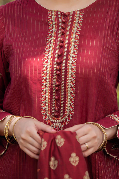 Stitched 2 Piece Embroidered Zari Stripe Suit