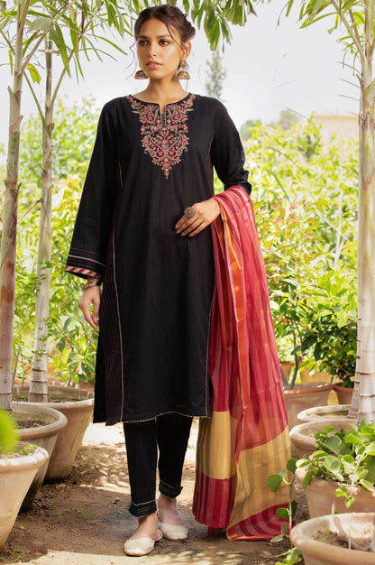 Stitched 2 Piece Chikan Tarkashi Suit