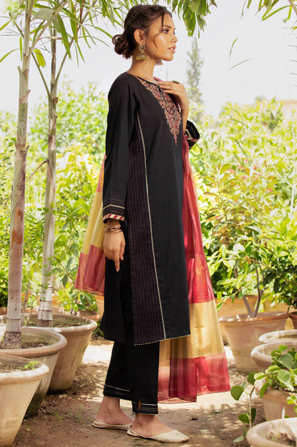 Stitched 2 Piece Chikan Tarkashi Suit