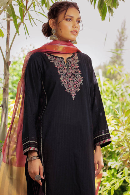 Stitched 2 Piece Chikan Tarkashi Suit