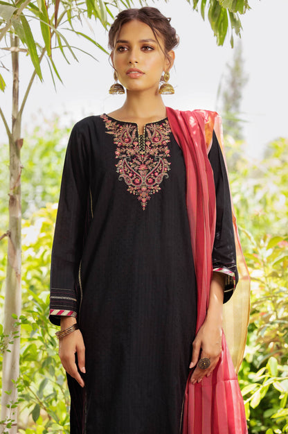 Stitched 2 Piece Chikan Tarkashi Suit