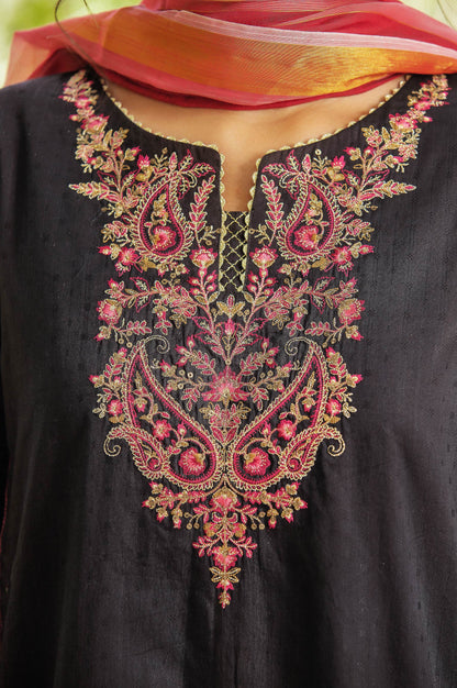 Stitched 2 Piece Chikan Tarkashi Suit