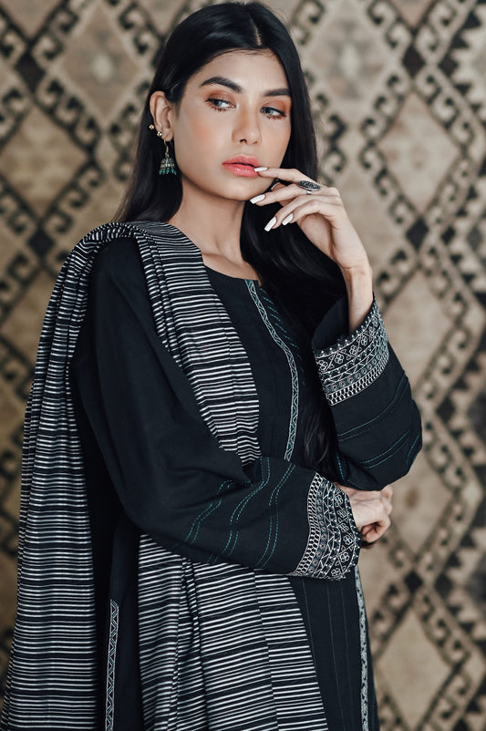 Stitched 2 Piece Embroidered Cotton Slub Suit