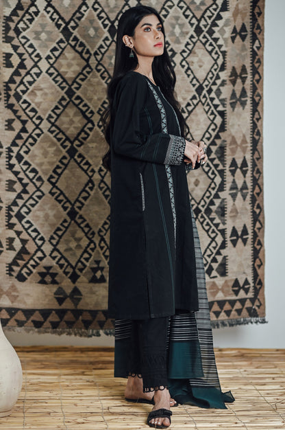 Stitched 2 Piece Embroidered Cotton Slub Suit