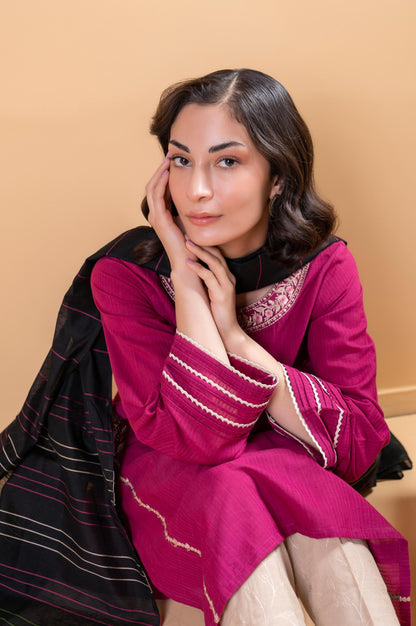 Stitched 2 Piece Embroidered Doria Lawn Shirt With Dupatta