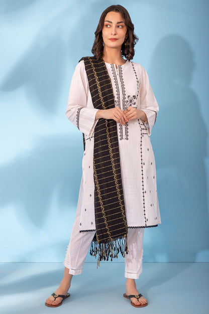 Stitched 2 Piece Embroidered Cotton Slub Suit