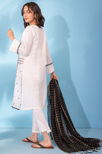 Stitched 2 Piece Embroidered Cotton Slub Suit