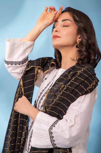 Stitched 2 Piece Embroidered Cotton Slub Suit