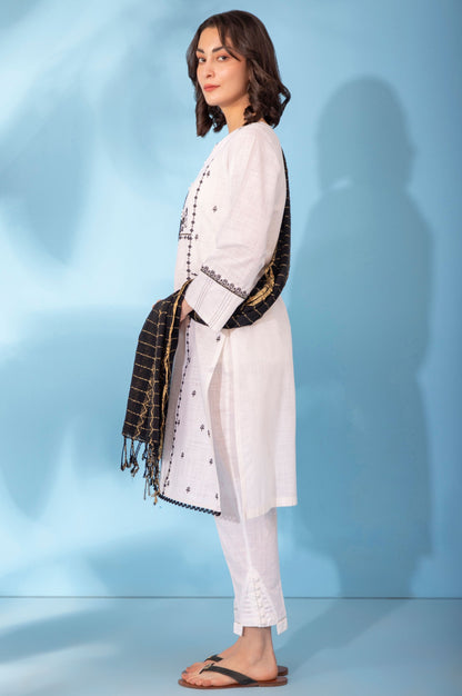 Stitched 2 Piece Embroidered Cotton Slub Suit