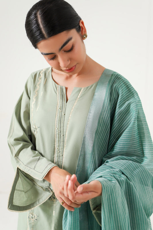 Stitched 2 Piece Embroidered Cambric Suit