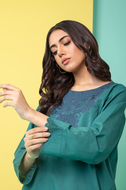 Stitched 2 Piece Embroidered Cambric Suit