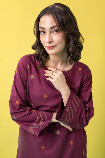 Stitched 2 Piece Embroidered Cambric Suit