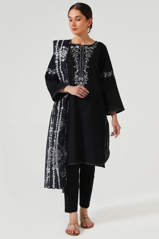 Stitched 2 Piece Embroidered slub Suit