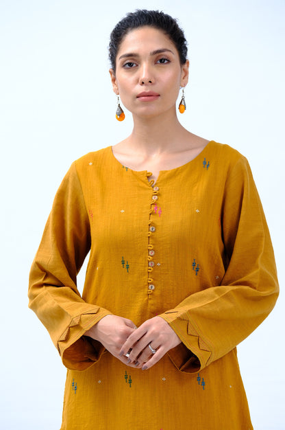 Stitched 2 Piece Embroidered Khaddar Suit