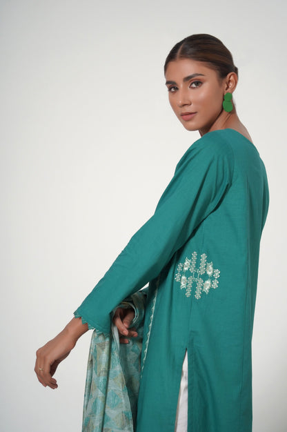 Stitched 2 Piece Cambric Embroidered Suit