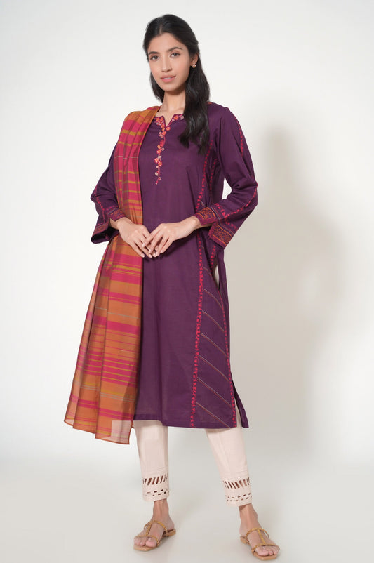 Stitched 2 Piece Cambric Embroidered Suit