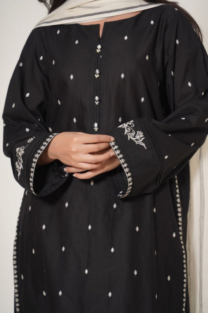 Stitched 2 Piece Cotton Slub Embroidered Suit