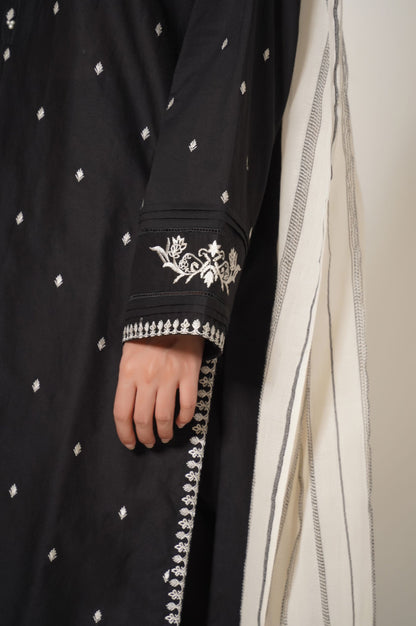 Stitched 2 Piece Cotton Slub Embroidered Suit