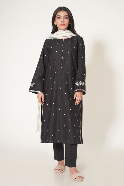 Stitched 2 Piece Cotton Slub Embroidered Suit