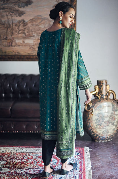 Stitched 2 Piece Embroidered Cottel Suit