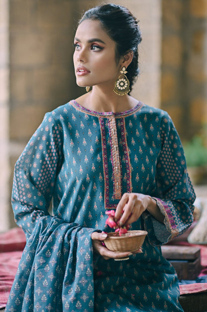 Stitched 2 Piece Printed Karandi Suit