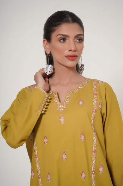 Unstitched 2 Piece Embroidered Cambric Suit