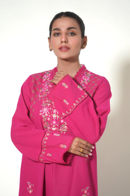 Unstitched 2 Piece Dyed Embroidered Karandi Suit