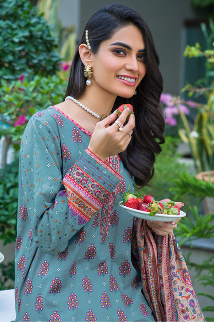 Stitched 3 Piece Printed Lawn Suit