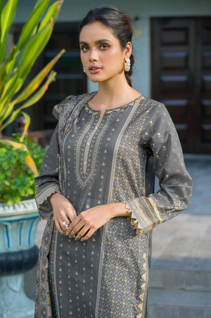Stitched 3 Piece Printed Lawn Suit