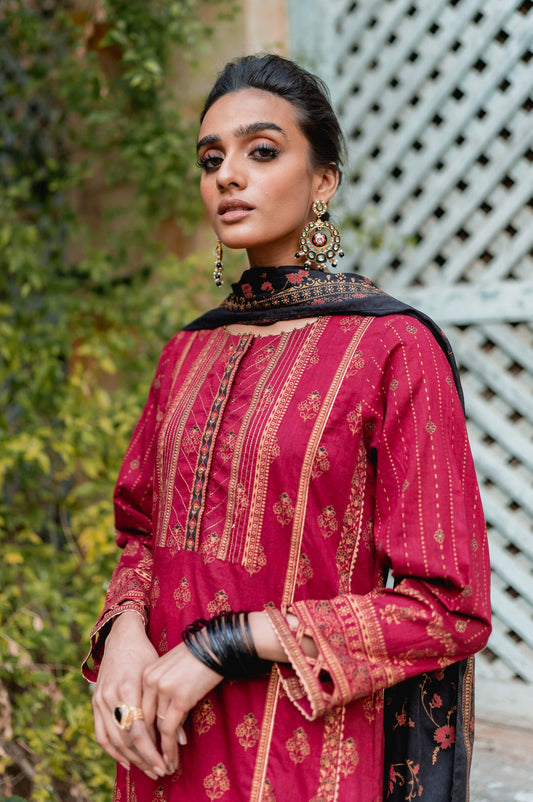 Unstitched 3 Piece Pasted Lawn Suit