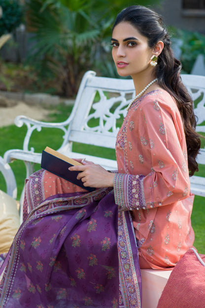 Stitched 3 Piece Embroidered Slub Lawn Suit