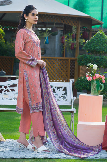 Stitched 3 Piece Embroidered Slub Lawn Suit
