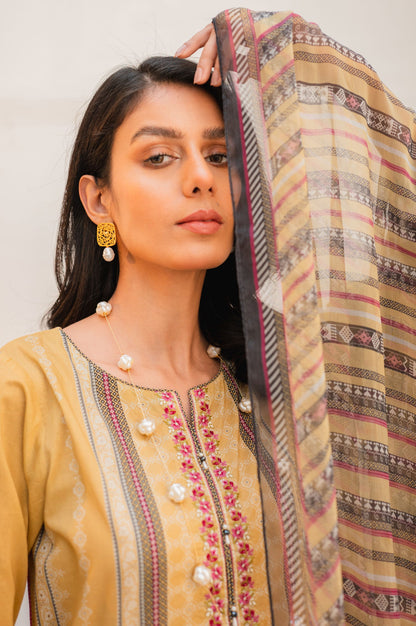 Stitched 3 Piece Embroidered Lawn with Chiffon Suit