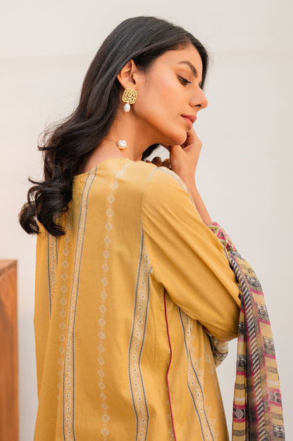 Stitched 3 Piece Embroidered Lawn with Chiffon Suit