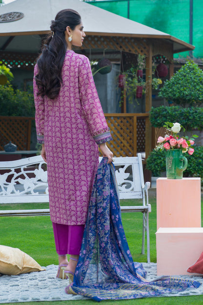 Stitched 3 Piece Embroidered Lawn with Slub Organza Suit