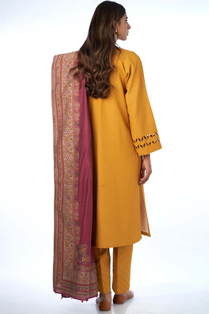 Stitched 3 Pieces Karandi Suit