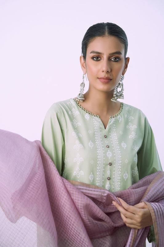 Stitched 3 Piece Printed Lawn