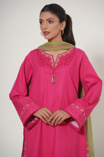 Stitched 3 Piece Embroidered Cambric Suit